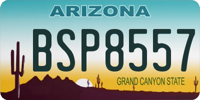 AZ license plate BSP8557