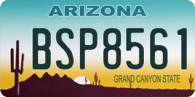 AZ license plate BSP8561