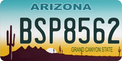 AZ license plate BSP8562