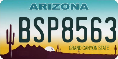 AZ license plate BSP8563