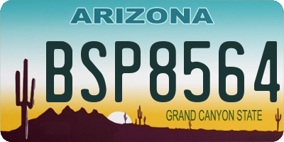 AZ license plate BSP8564