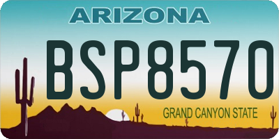 AZ license plate BSP8570