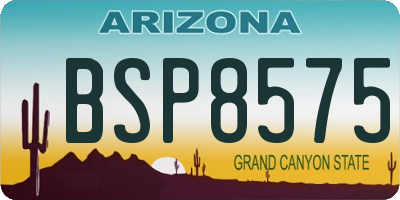 AZ license plate BSP8575