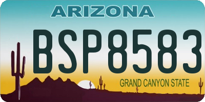 AZ license plate BSP8583