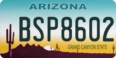 AZ license plate BSP8602