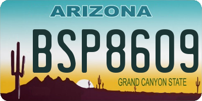 AZ license plate BSP8609