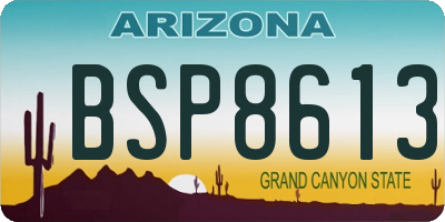 AZ license plate BSP8613