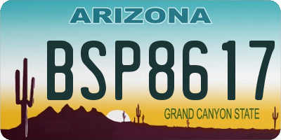 AZ license plate BSP8617