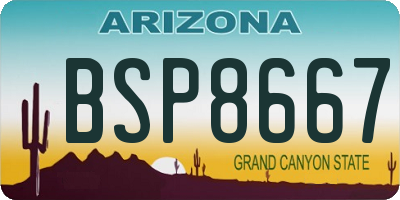 AZ license plate BSP8667