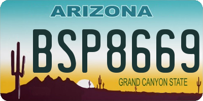 AZ license plate BSP8669