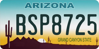 AZ license plate BSP8725