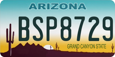 AZ license plate BSP8729