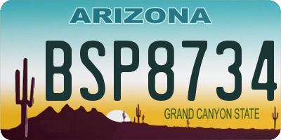 AZ license plate BSP8734