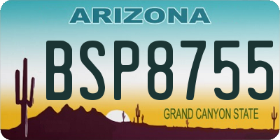 AZ license plate BSP8755