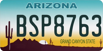 AZ license plate BSP8763