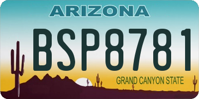 AZ license plate BSP8781