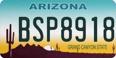 AZ license plate BSP8918