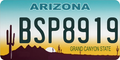 AZ license plate BSP8919
