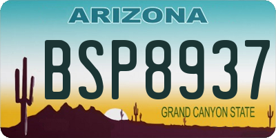 AZ license plate BSP8937