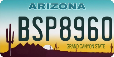 AZ license plate BSP8960