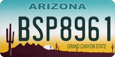 AZ license plate BSP8961