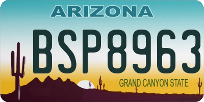 AZ license plate BSP8963