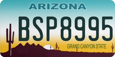 AZ license plate BSP8995