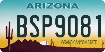 AZ license plate BSP9081