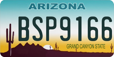 AZ license plate BSP9166