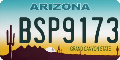 AZ license plate BSP9173