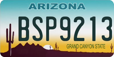 AZ license plate BSP9213