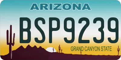 AZ license plate BSP9239