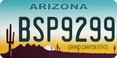 AZ license plate BSP9299