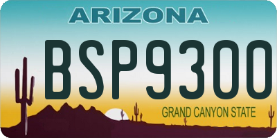 AZ license plate BSP9300
