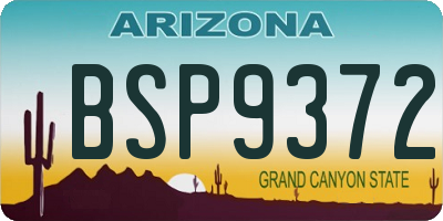 AZ license plate BSP9372