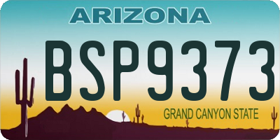 AZ license plate BSP9373