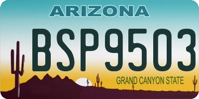 AZ license plate BSP9503