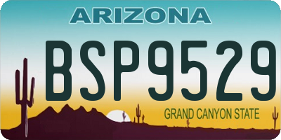 AZ license plate BSP9529