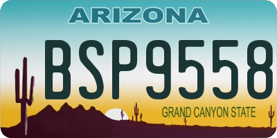 AZ license plate BSP9558