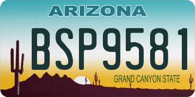 AZ license plate BSP9581