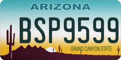 AZ license plate BSP9599
