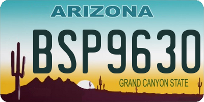 AZ license plate BSP9630
