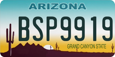 AZ license plate BSP9919