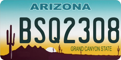 AZ license plate BSQ2308