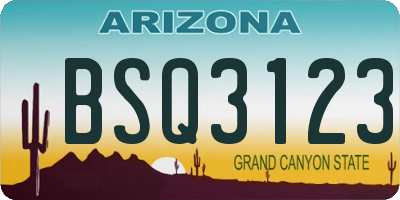 AZ license plate BSQ3123