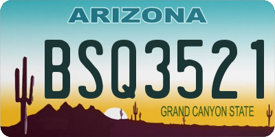 AZ license plate BSQ3521
