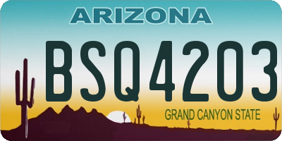 AZ license plate BSQ4203