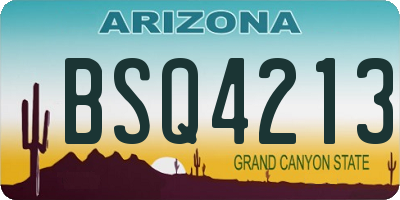 AZ license plate BSQ4213