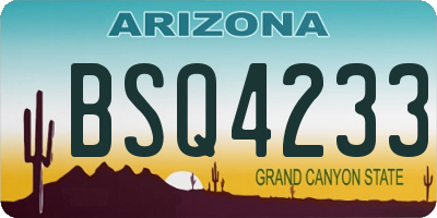 AZ license plate BSQ4233