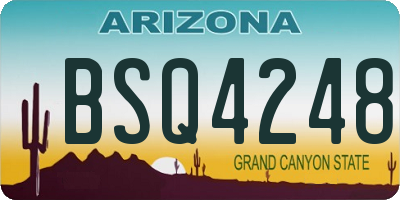 AZ license plate BSQ4248